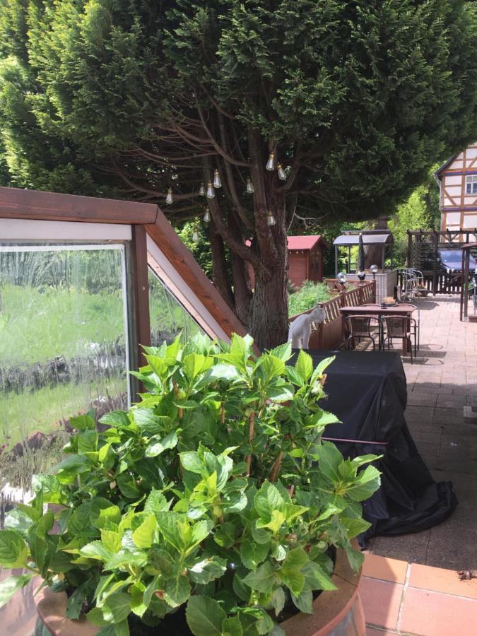 Hotellerie Gasthaus Schubert Гарбсен Екстериор снимка